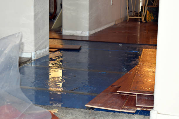 Professional Basement Flood Cleanup technician working in Ranburne, AL